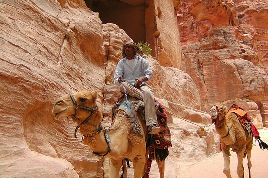 صورة الجولة 5