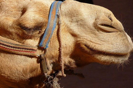 صورة الجولة 13