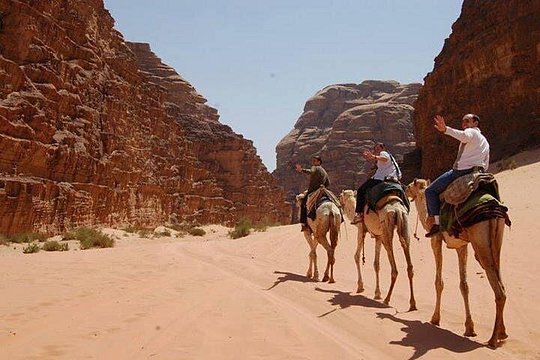 صورة الجولة 1