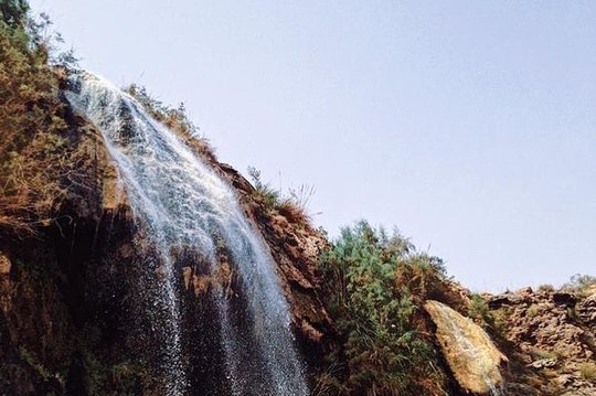 صورة الجولة 2