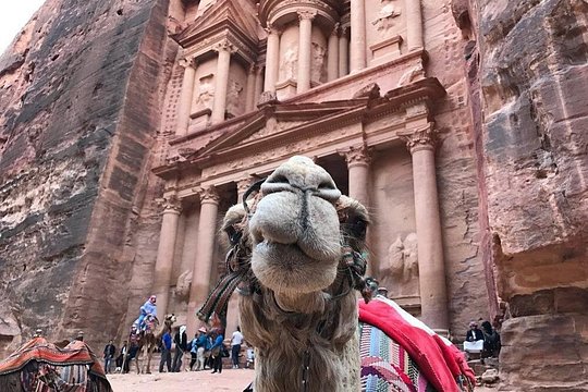صورة الجولة 3