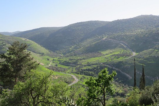 صورة الجولة 1