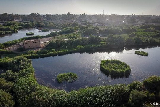 صورة الجولة 14