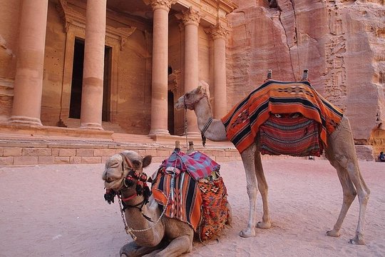 صورة الجولة 5
