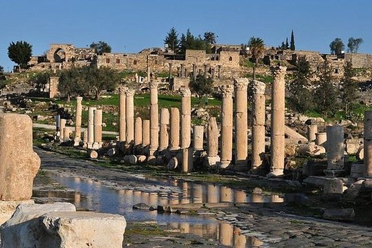 صورة الجولة 11
