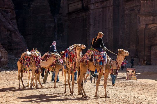 صورة الجولة 4