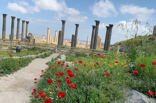 صورة الجولة 1
