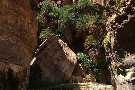 Tour image 3