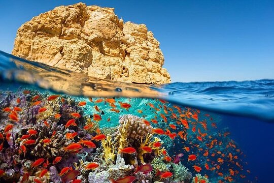 صورة الجولة 13