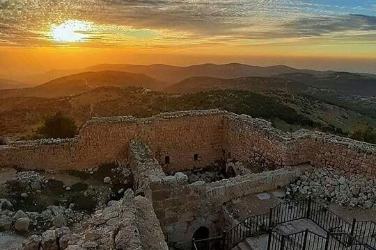 صورة الجولة 8