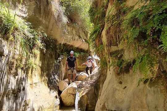 صورة الجولة 2