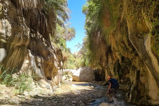 صورة الجولة 4