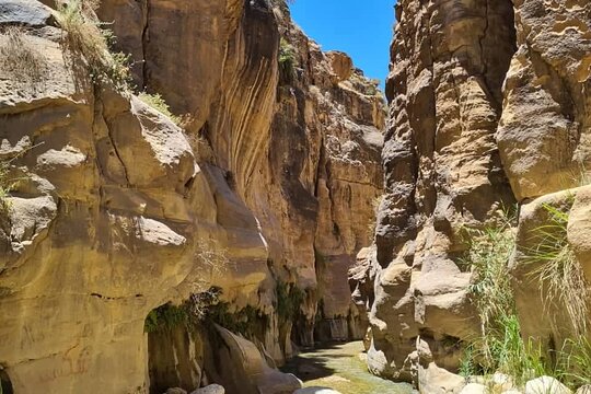 صورة الجولة 5