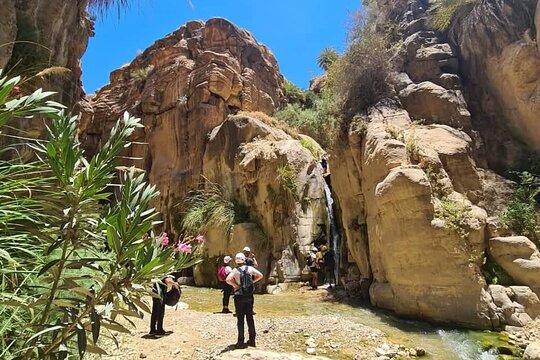 صورة الجولة 6