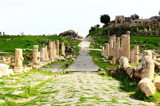 صورة الجولة 8