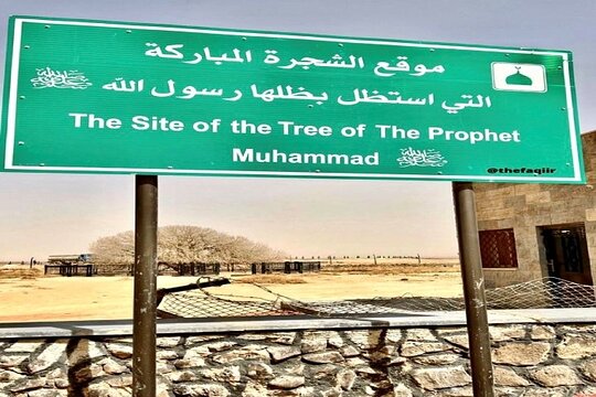 صورة الجولة 6
