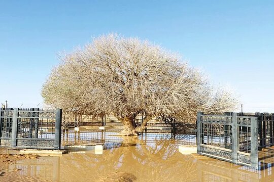صورة الجولة 3