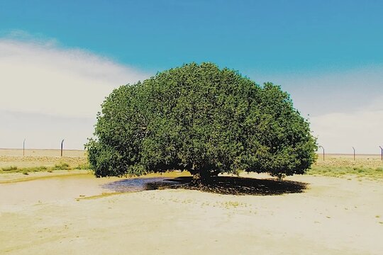 صورة الجولة 4