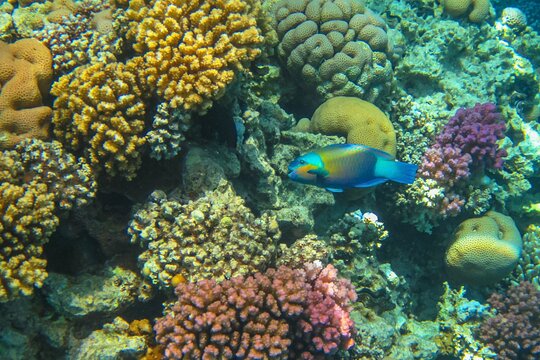 Tour image 11