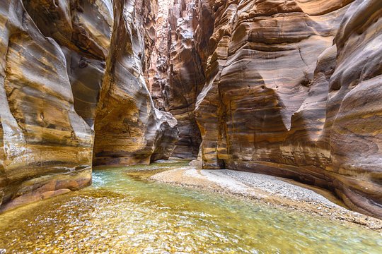 صورة الجولة 5
