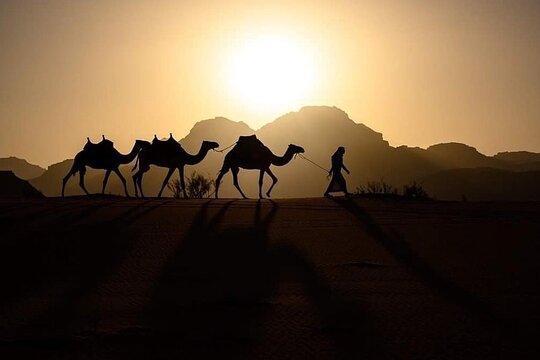 صورة الجولة 2